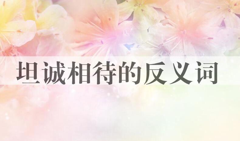 用坦诚相待造句