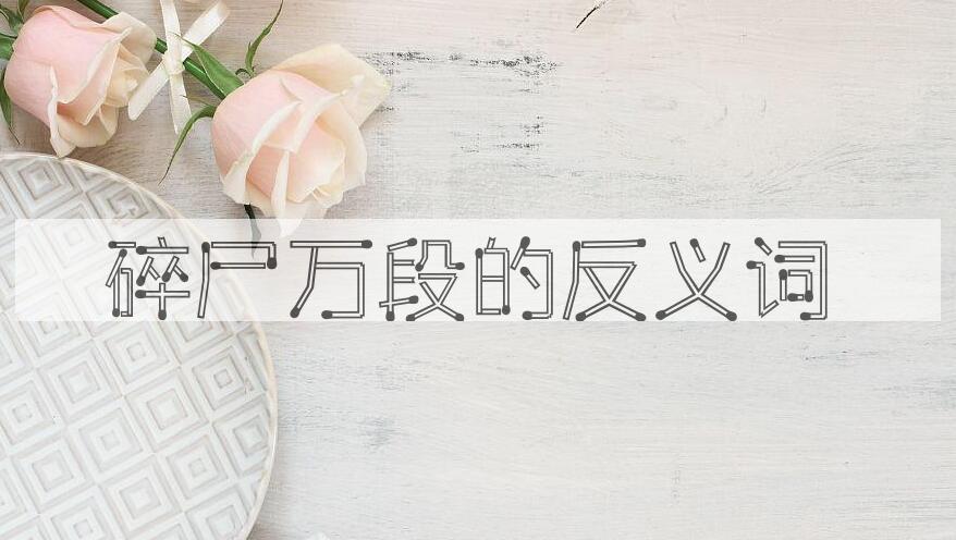 用碎尸万段造句