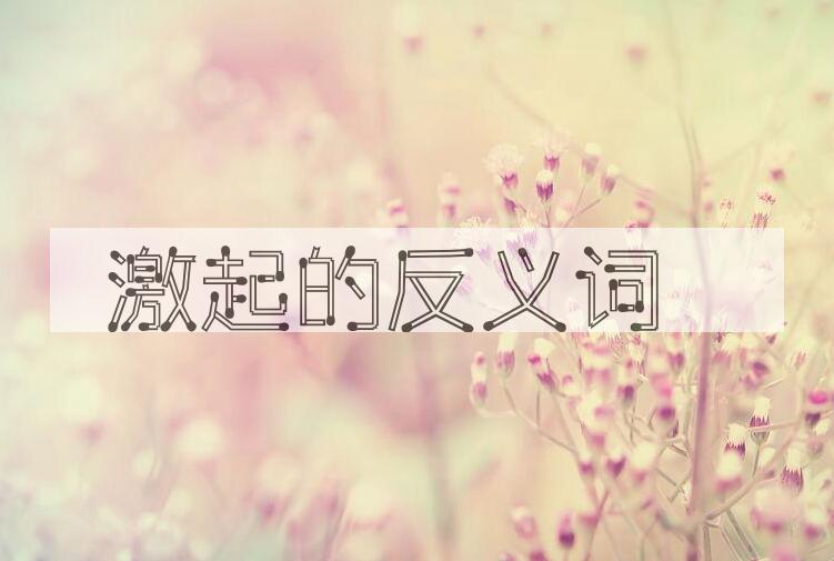 用激起造句
