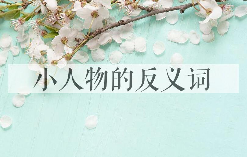 用小人物造句