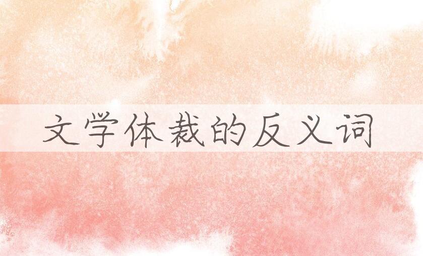 用文学体裁造句