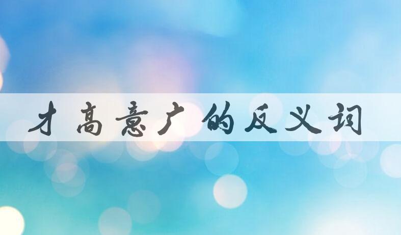 用才高意广造句