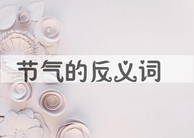 用节气造句