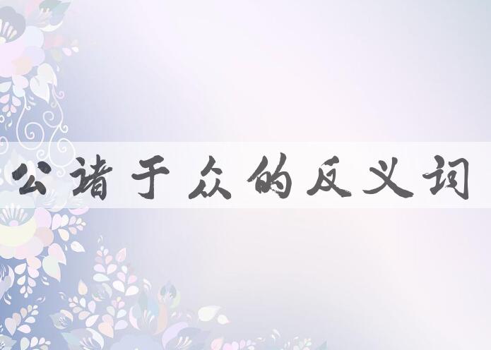 用公诸于众造句