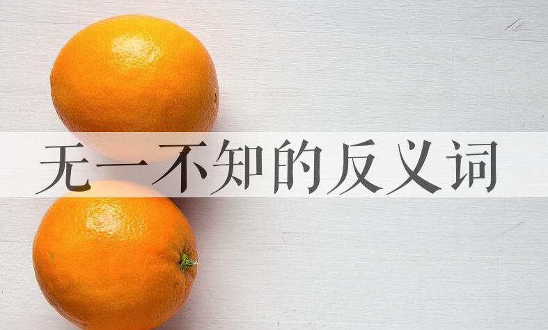 用无一不知造句