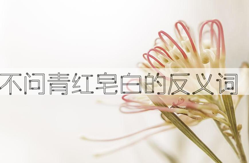 用不问青红皂白造句