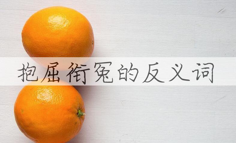 用抱屈衔冤造句