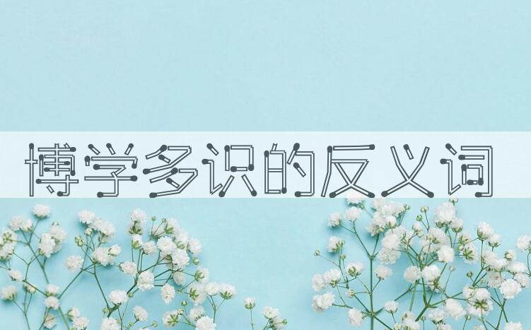 用博学多识造句