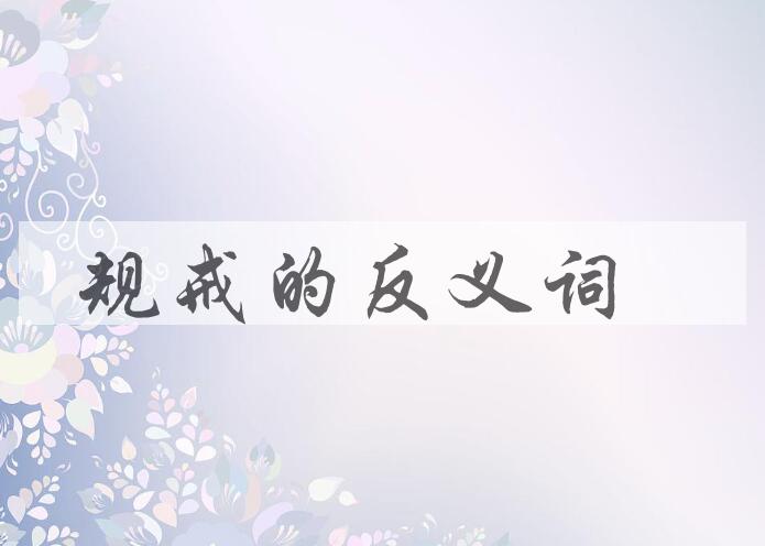 用规戒造句