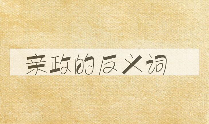 用亲政造句