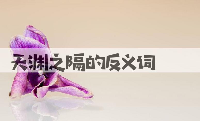 用天渊之隔造句