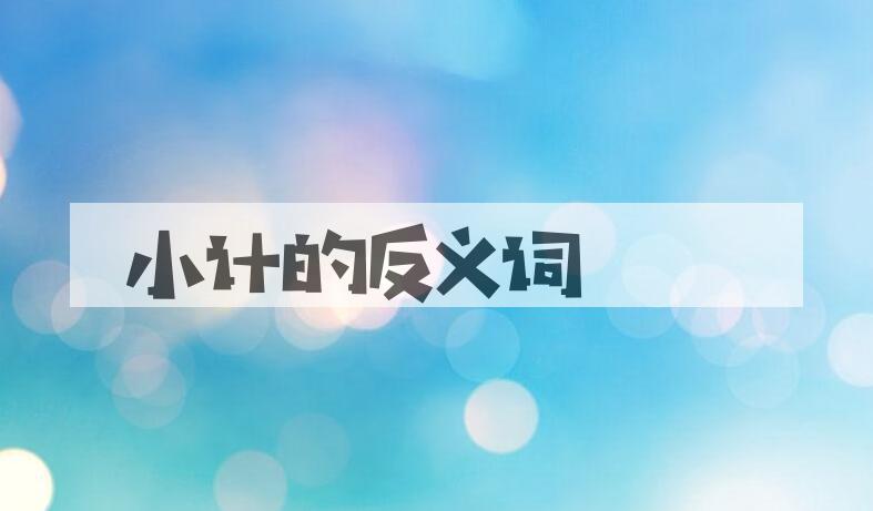 用小计造句