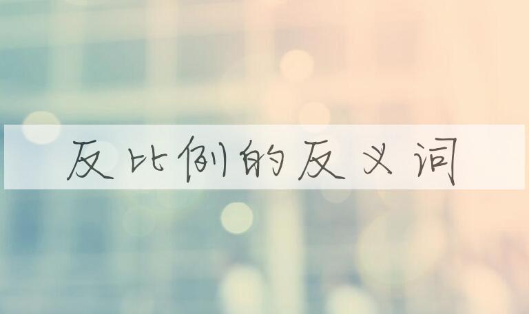 用反比例造句