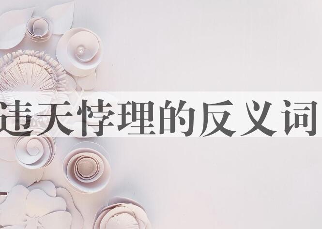用违天悖理造句