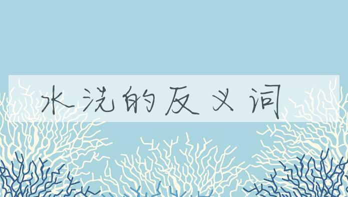 用水洗造句