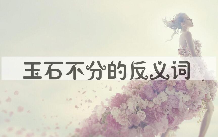 用玉石不分造句