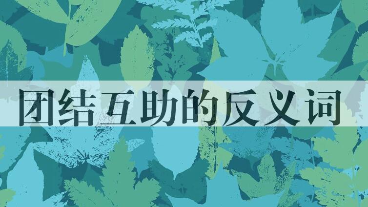 用团结互助造句