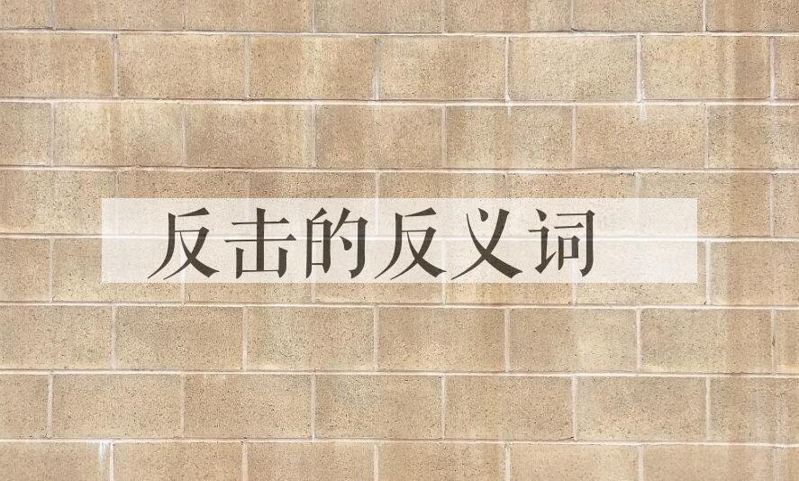 用反击造句
