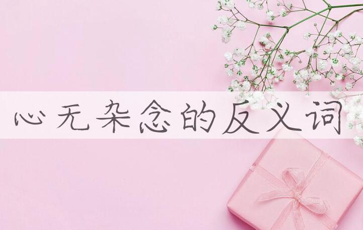 用心无杂念造句