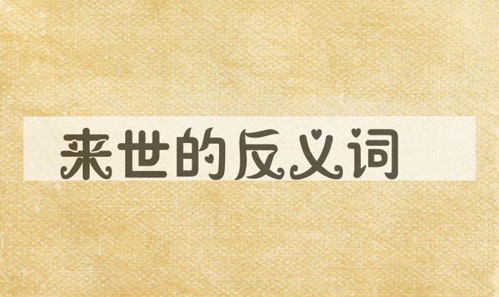 用来世造句