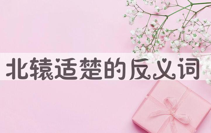 用北辕适楚造句