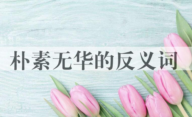 用朴素无华造句