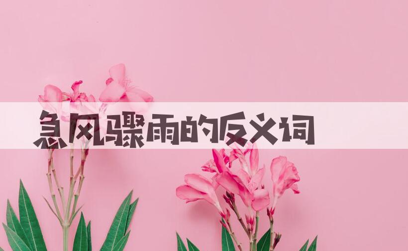 用急风骤雨造句