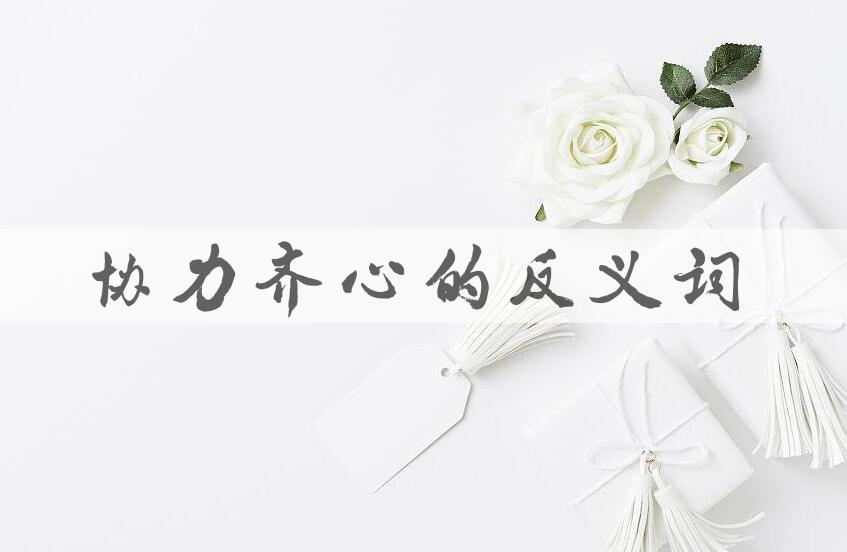 用协力齐心造句