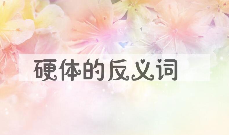 用硬体造句
