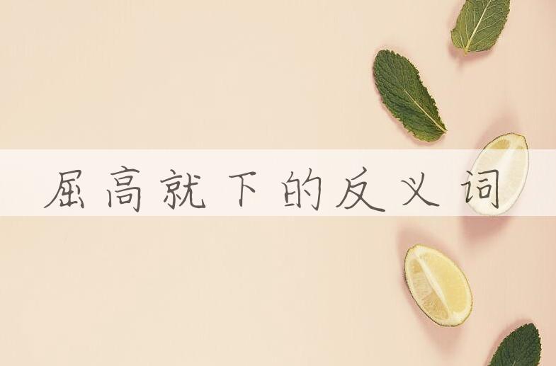 用屈高就下造句