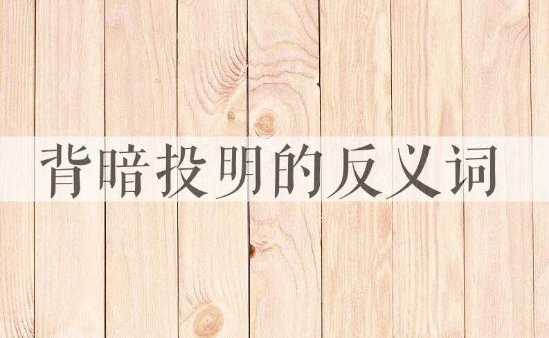 用背暗投明造句