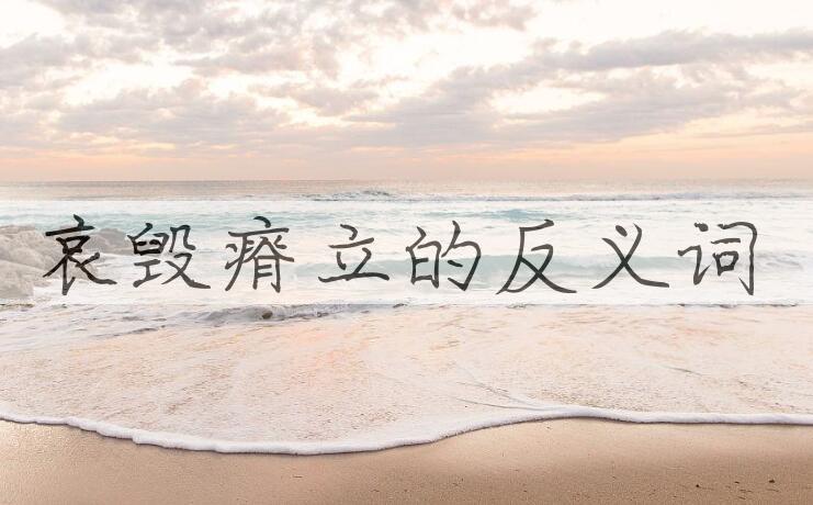 用哀毁瘠立造句