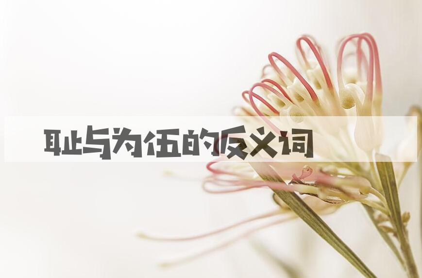 用耻与为伍造句