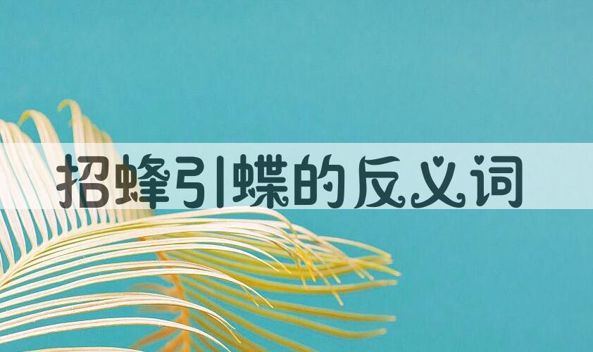 用招蜂引蝶造句