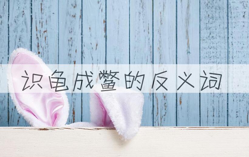 用识龟成鳖造句