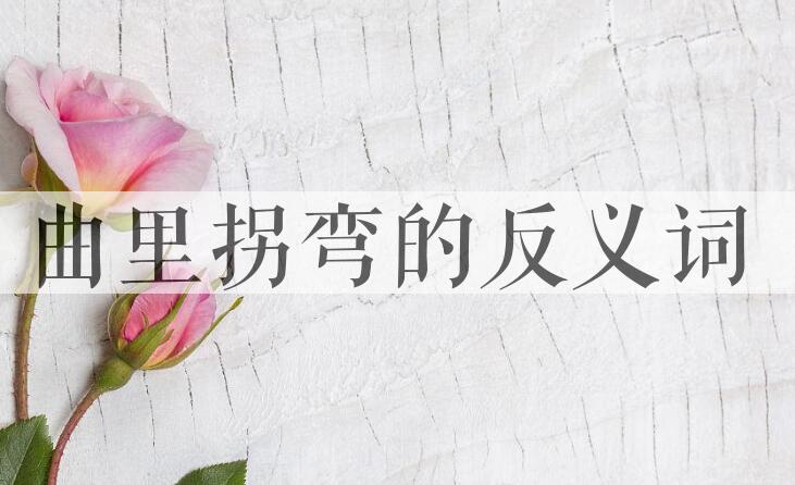 用曲里拐弯造句
