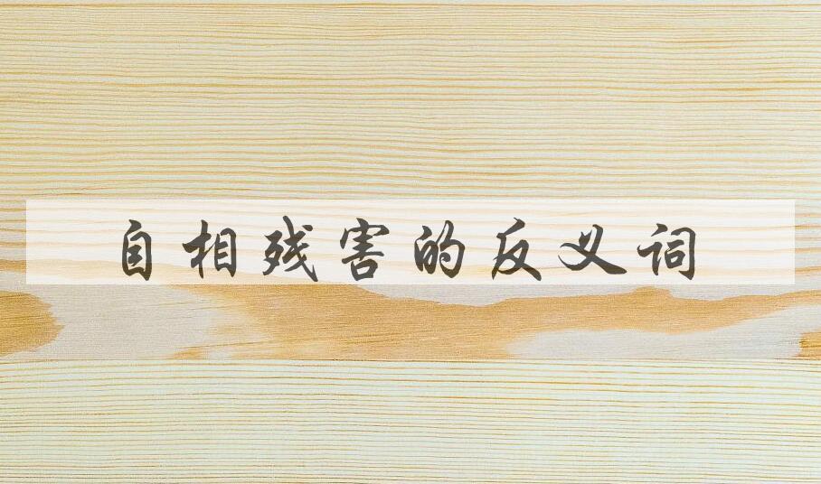 用自相残害造句