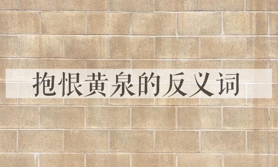 用抱恨黄泉造句