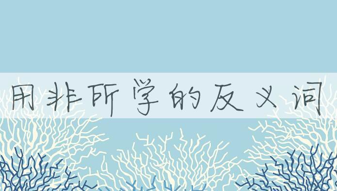 用用非所学造句