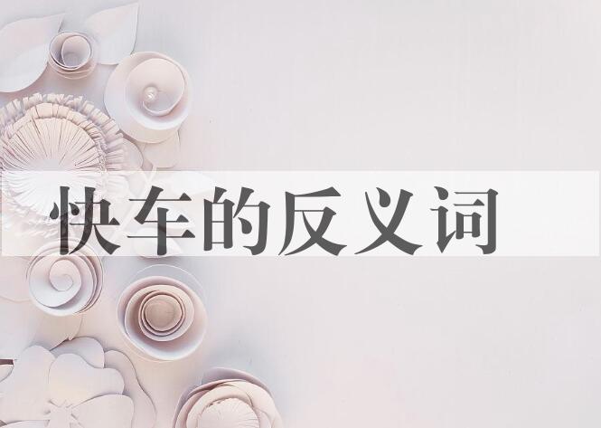 用快车造句