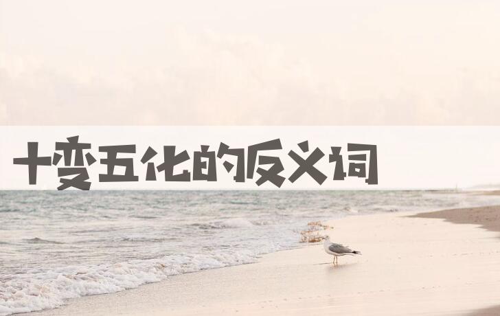 用十变五化造句
