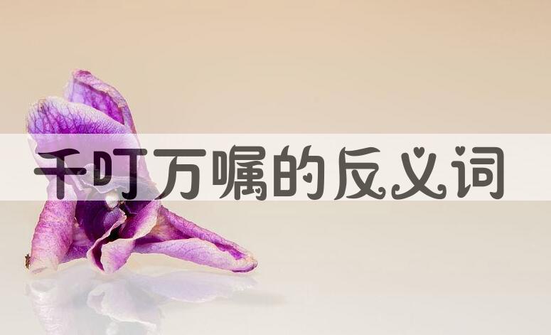 用千叮万嘱造句