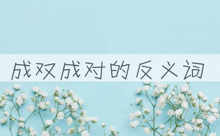 用成双成对造句