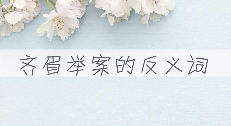 用齐眉举案造句