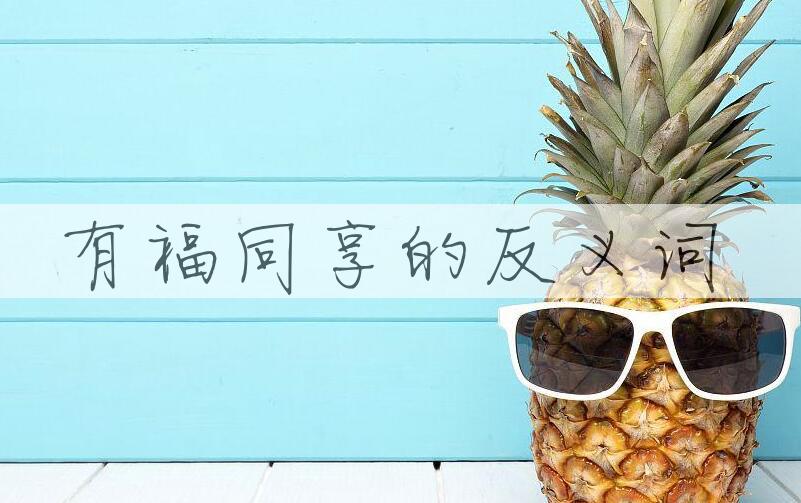 用有福同享造句