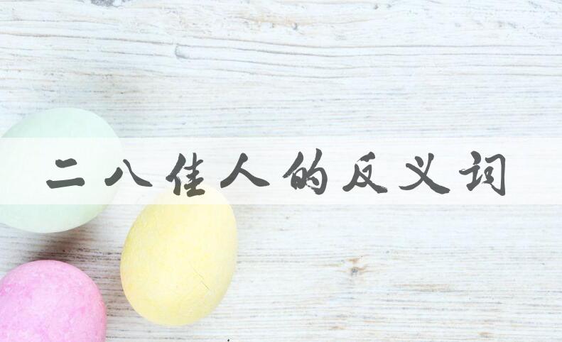 用二八佳人造句