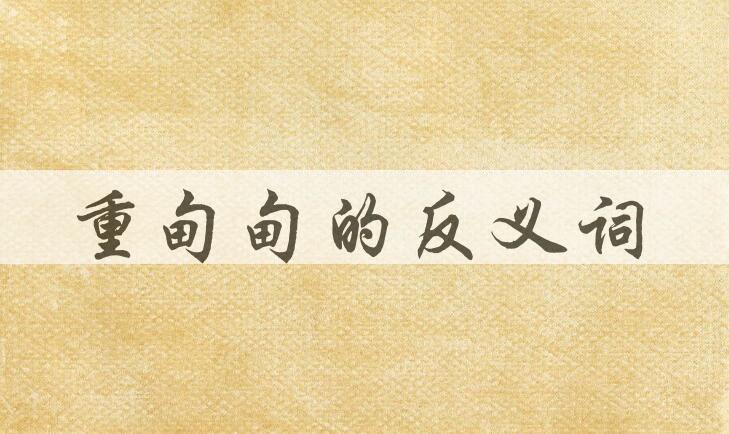 用重甸甸造句