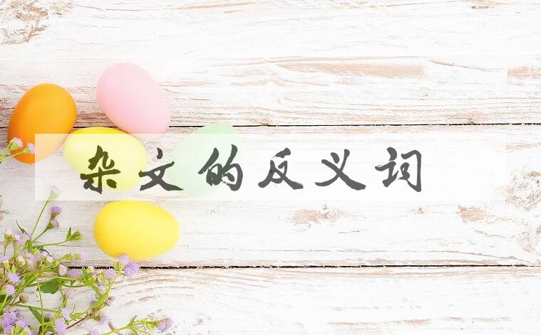 用杂文造句