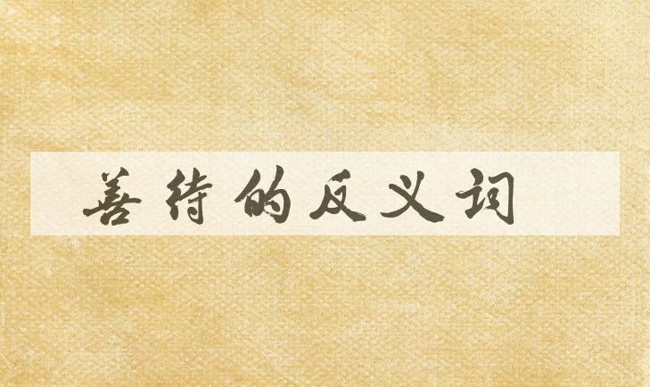 用善待造句