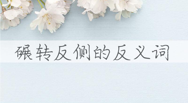 用碾转反侧造句